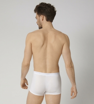 BASIC SHORT HEREN WIT