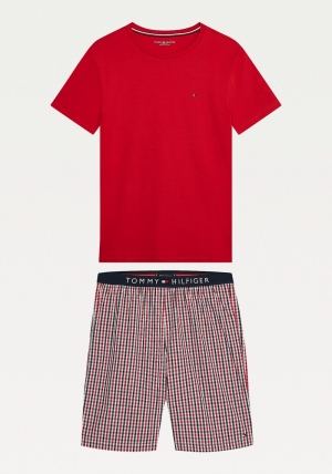  0R1/PRIMARY RED