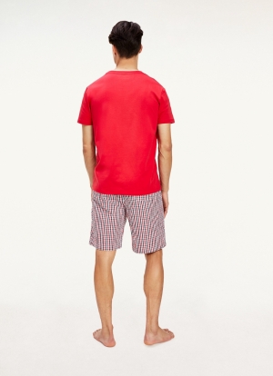  0R1/PRIMARY RED