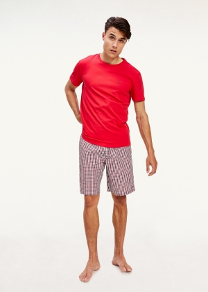  0R1/PRIMARY RED