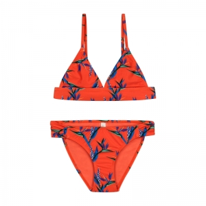 CRANE FLOWER  000/MULTICOLOUR