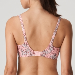LIVADI SUR SUMMER ROSE