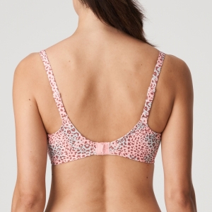 LIVADI SUR SUMMER ROSE