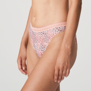 LIVADI SUR SUMMER ROSE