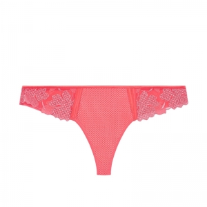 DAHLIA 222/PAPAJA