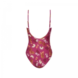 WILD ORCHID 537