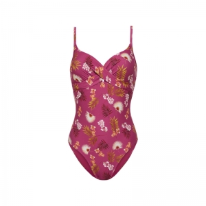 WILD ORCHID 537