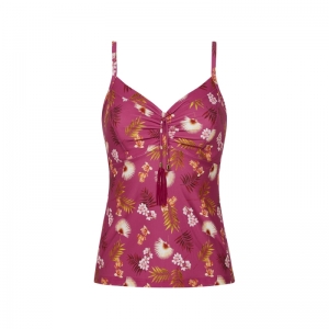 WILD ORCHID 537