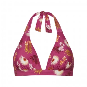 WILD ORCHID 537