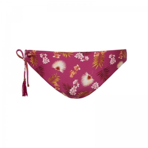 WILD ORCHID 537