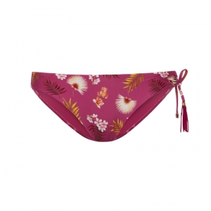 WILD ORCHID 537