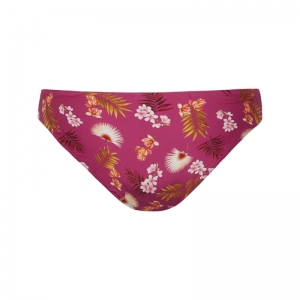 WILD ORCHID 537