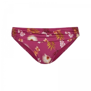 WILD ORCHID 537