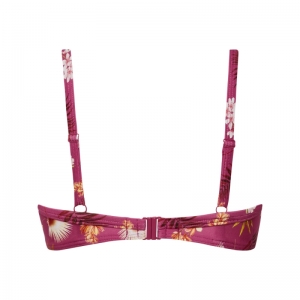 WILD ORCHID 537