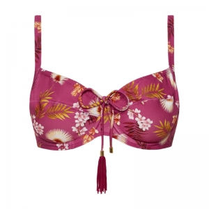 WILD ORCHID 537