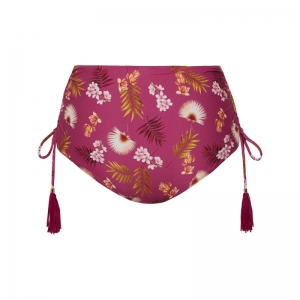WILD ORCHID 537