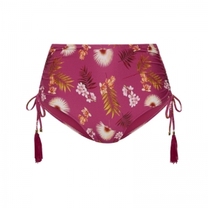 WILD ORCHID 537