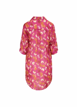 WILD ORCHID 537