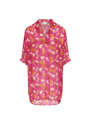 WILD ORCHID 537