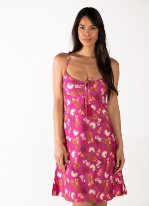 WILD ORCHID 537