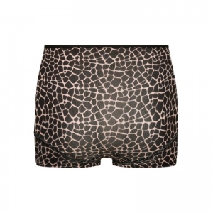 GIRAFFE PD146