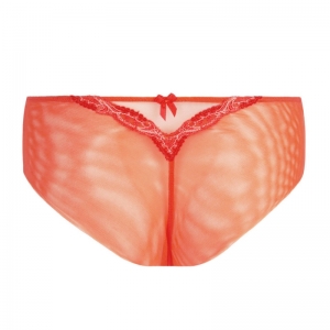 SPLENDEUR SOIE SQ/SPLENDEUR TR