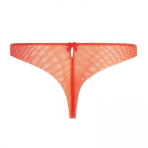 SPLENDEUR SOIE SQ/SPLENDEUR TR