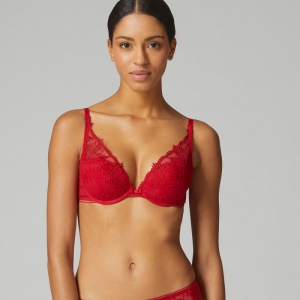 BLOOM 377/ROOD