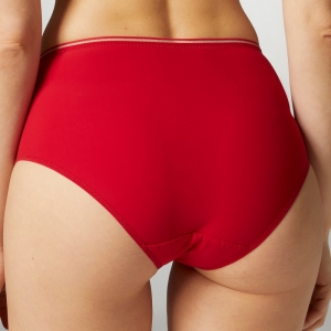 BLOOM 377/ROOD