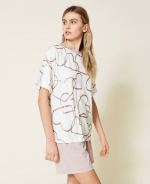  06856/SILVER PI