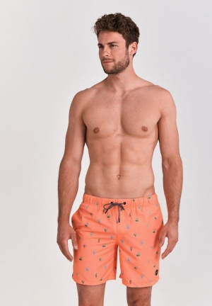 OASIS 208/NEON ORANGE
