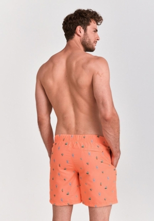 OASIS 208/NEON ORANGE