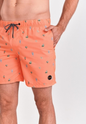 OASIS 208/NEON ORANGE