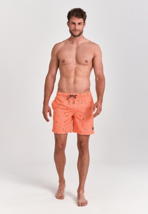 OASIS 208/NEON ORANGE
