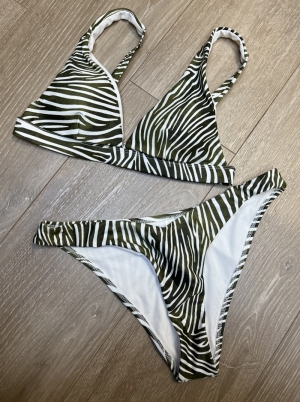 AMY 779/PALMTREE GR