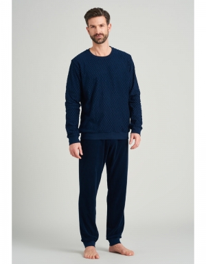  816/BLAUW