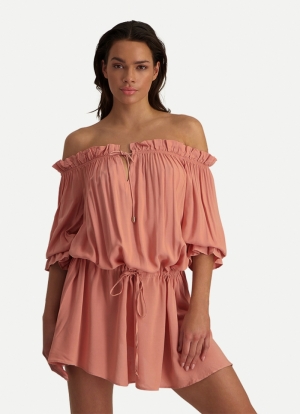 ROSE 293