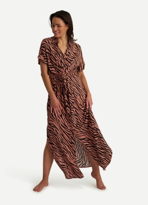 ROSE ZEBRA 292