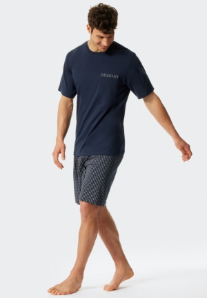 803/BLAUW