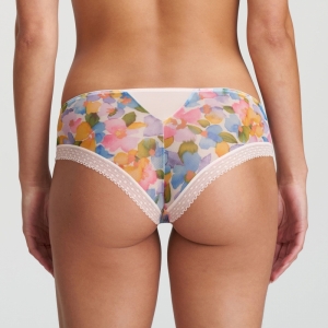 TARO BLO BLOOM