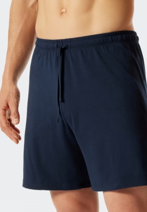  803/BLAUW