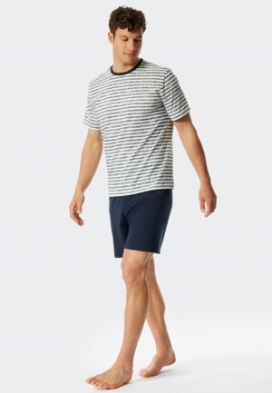  803/BLAUW