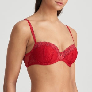 COELY STK STRAWBERRY
