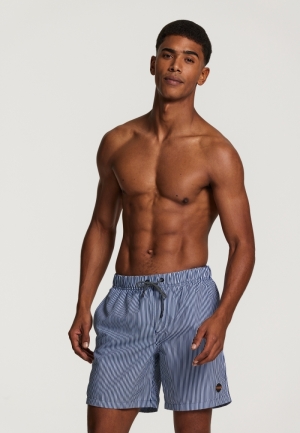 STRIPE 604/DARK NAVY
