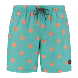 CITRUS 653/PARROT BLUE