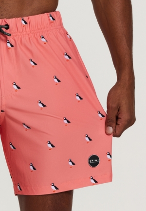 PUFFIN 208/NEON ORANGE