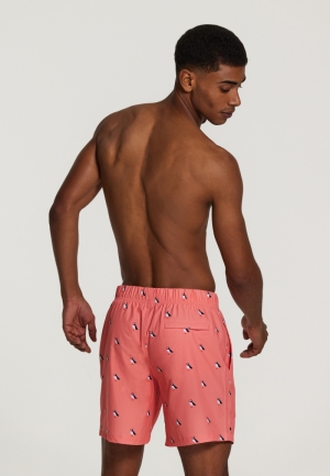 PUFFIN 208/NEON ORANGE