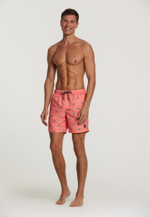 CLOWNFISH 208/NEON ORANGE