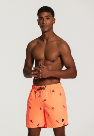 LOBSTER 208/NEON ORANGE