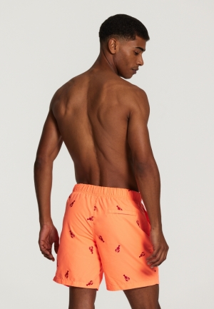 LOBSTER 208/NEON ORANGE